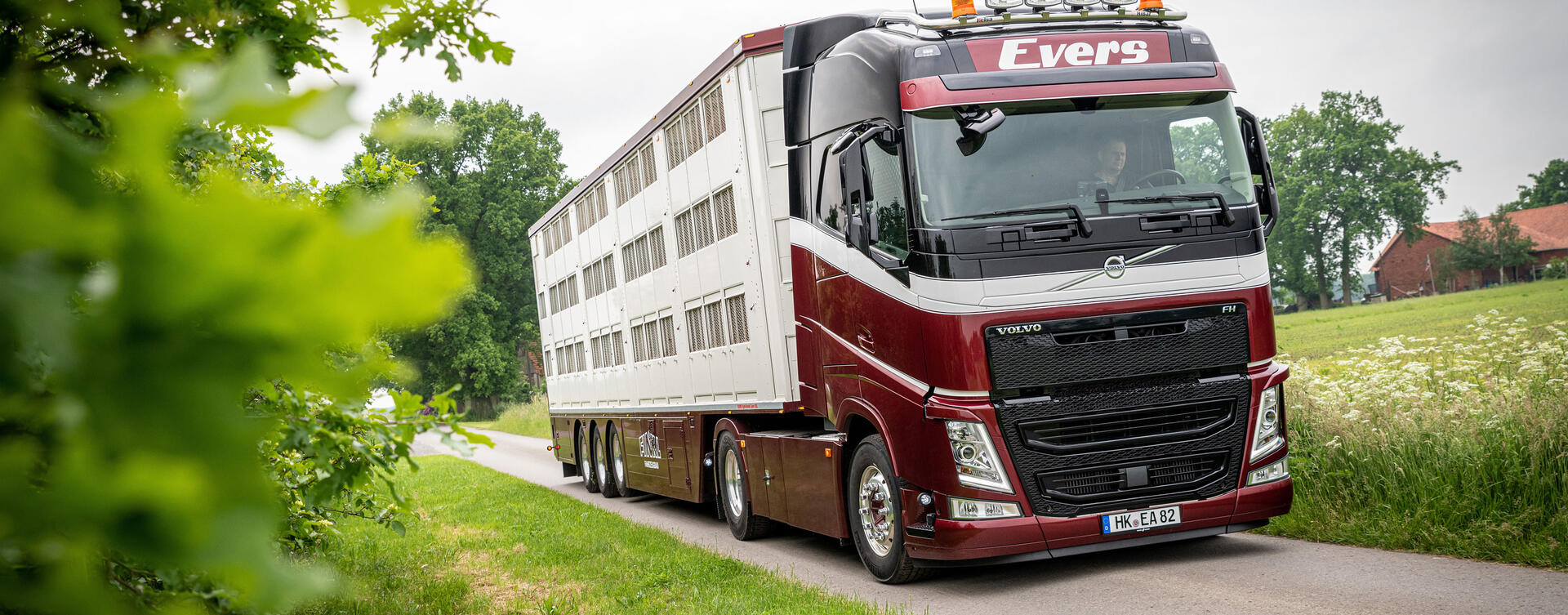 Diervriendelijk en duurzaam: waarom Evers Transport kiest voor de Volvo FH LNG en Volvo FH I-Save
